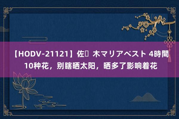 【HODV-21121】佐々木マリアベスト 4時間 10种花，别瞎晒太阳，晒多了影响着花