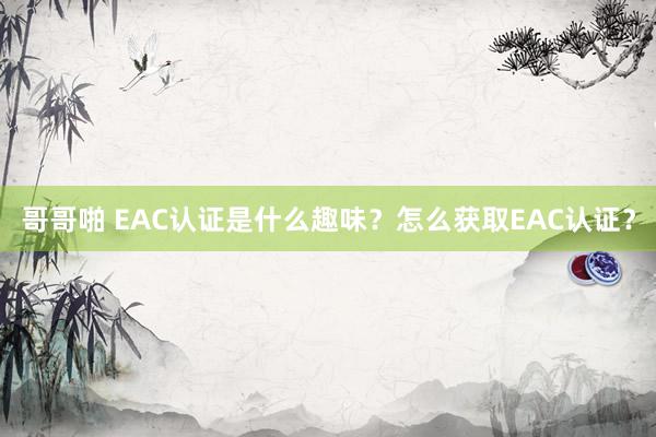 哥哥啪 EAC认证是什么趣味？怎么获取EAC认证？