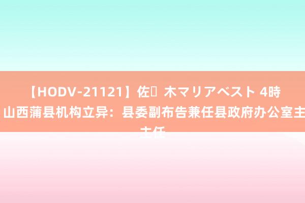 【HODV-21121】佐々木マリアベスト 4時間 山西蒲县机构立异：县委副布告兼任县政府办公室主任