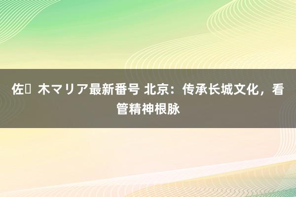 佐々木マリア最新番号 北京：传承长城文化，看管精神根脉