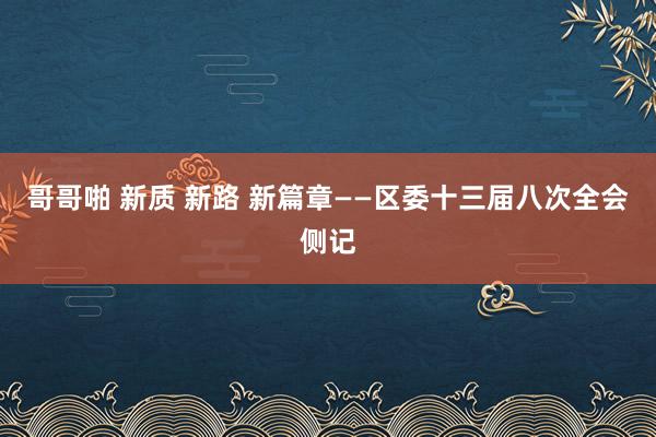 哥哥啪 新质 新路 新篇章——区委十三届八次全会侧记