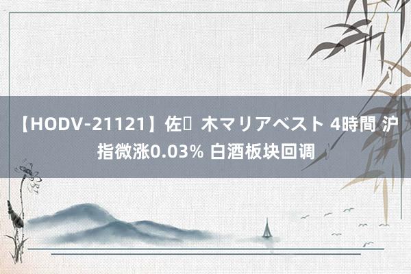 【HODV-21121】佐々木マリアベスト 4時間 沪指微涨0.03% 白酒板块回调