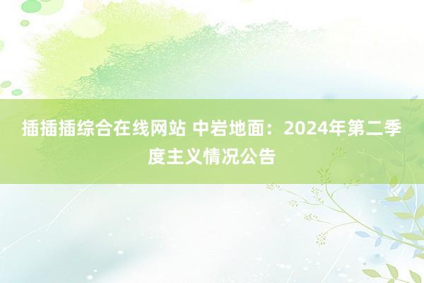 插插插综合在线网站 中岩地面：2024年第二季度主义情况公告