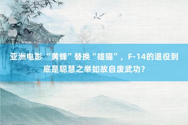 亚洲电影 “黄蜂”替换“雄猫”，F-14的退役到底是聪慧之举如故自废武功？