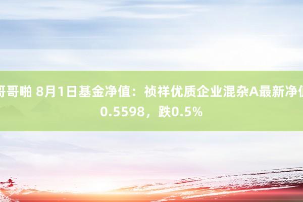 哥哥啪 8月1日基金净值：祯祥优质企业混杂A最新净值0.5598，跌0.5%