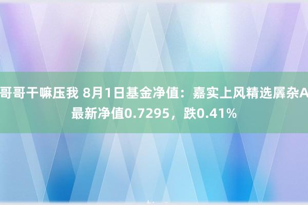 哥哥干嘛压我 8月1日基金净值：嘉实上风精选羼杂A最新净值0.7295，跌0.41%