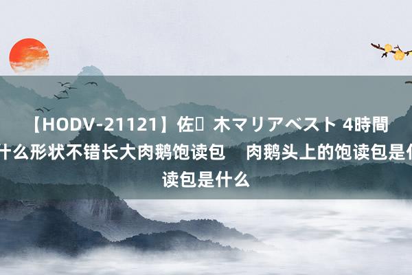 【HODV-21121】佐々木マリアベスト 4時間 有什么形状不错长大肉鹅饱读包    肉鹅头上的饱读包是什么