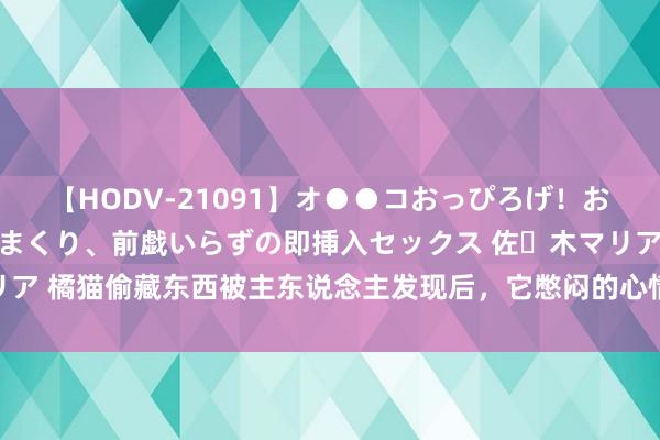 【HODV-21091】オ●●コおっぴろげ！お姉ちゃん 四六時中濡れまくり、前戯いらずの即挿入セックス 佐々木マリア 橘猫偷藏东西被主东说念主发现后，它憋闷的心情，让主东说念主大笑！