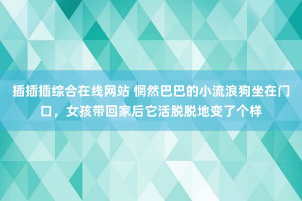 插插插综合在线网站 惘然巴巴的小流浪狗坐在门口，女孩带回家后它活脱脱地变了个样