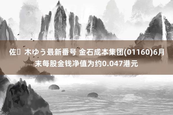 佐々木ゆう最新番号 金石成本集团(01160)6月末每股金钱净值为约0.047港元