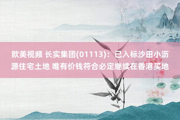 欧美视频 长实集团(01113)：已入标沙田小沥源住宅土地 唯有价钱符合必定继续在香港买地