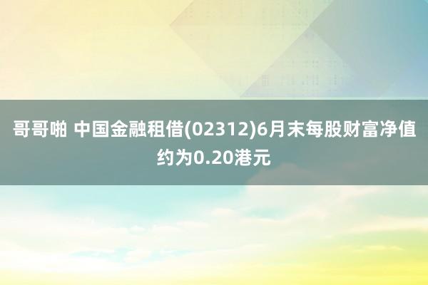 哥哥啪 中国金融租借(02312)6月末每股财富净值约为0.20港元