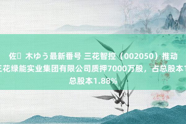 佐々木ゆう最新番号 三花智控（002050）推动浙江三花绿能实业集团有限公司质押7000万股，占总股本1.88%