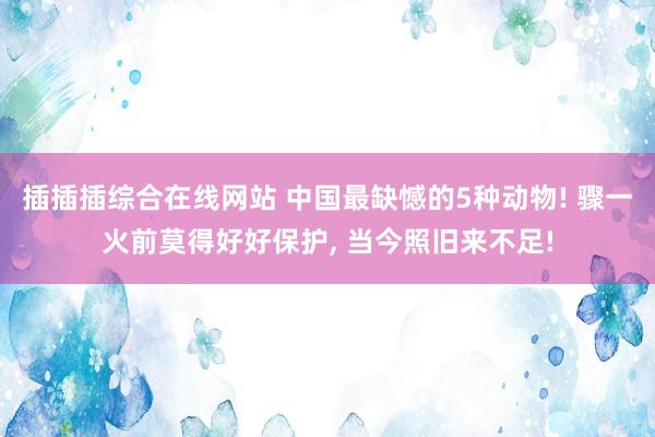 插插插综合在线网站 中国最缺憾的5种动物! 骤一火前莫得好好保护， 当今照旧来不足!