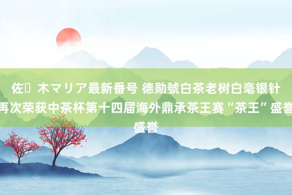 佐々木マリア最新番号 德勋號白茶老树白毫银针再次荣获中茶杯第十四届海外鼎承茶王赛“茶王”盛誉