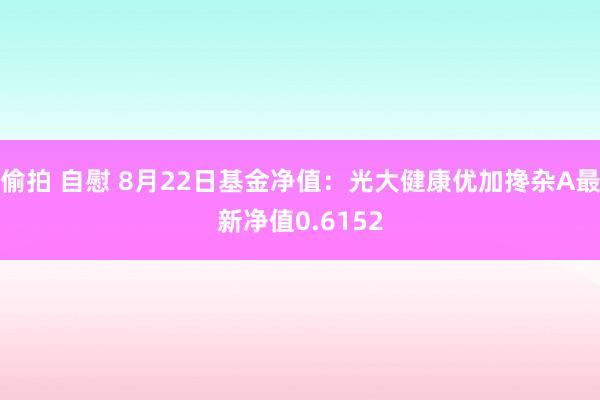 偷拍 自慰 8月22日基金净值：光大健康优加搀杂A最新净值0.6152