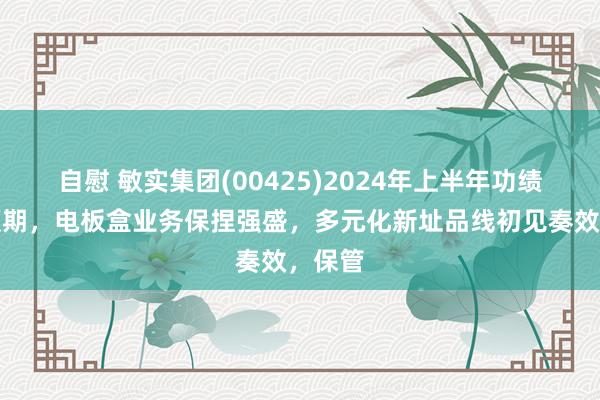 自慰 敏实集团(00425)2024年上半年功绩安妥预期，电板盒业务保捏强盛，多元化新址品线初见奏效，保管