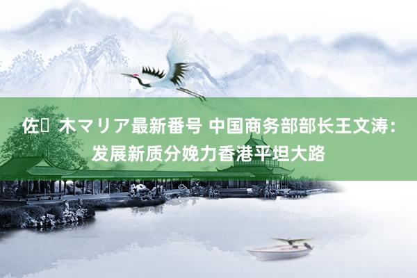 佐々木マリア最新番号 中国商务部部长王文涛：发展新质分娩力香港平坦大路