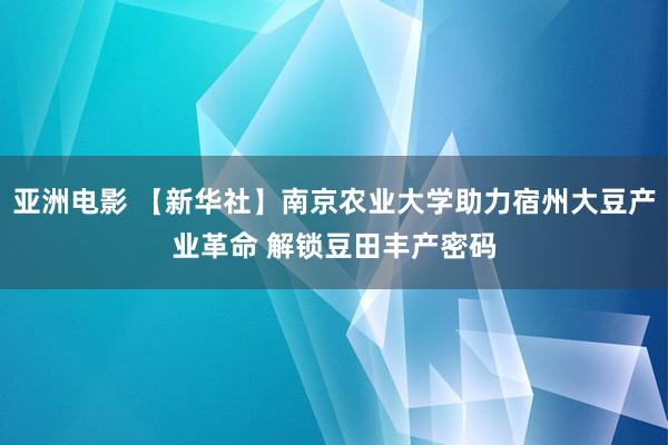 亚洲电影 【新华社】南京农业大学助力宿州大豆产业革命 解锁豆田丰产密码