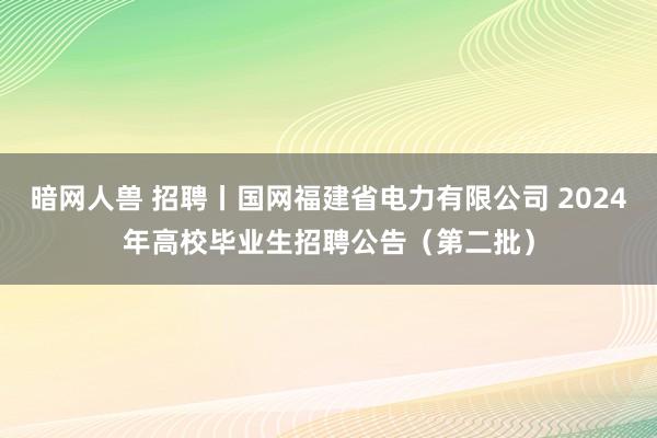 暗网人兽 招聘丨国网福建省电力有限公司 2024年高校毕业生招聘公告（第二批）