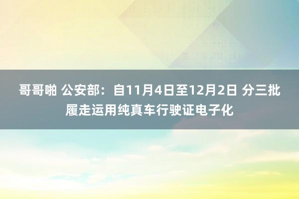 哥哥啪 公安部：自11月4日至12月2日 分三批履走运用纯真车行驶证电子化