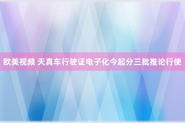 欧美视频 天真车行驶证电子化今起分三批推论行使