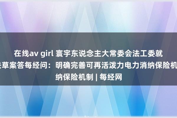 在线av girl 寰宇东说念主大常委会法工委就审议动力法草案答每经问：明确完善可再活泼力电力消纳保险机制 | 每经网