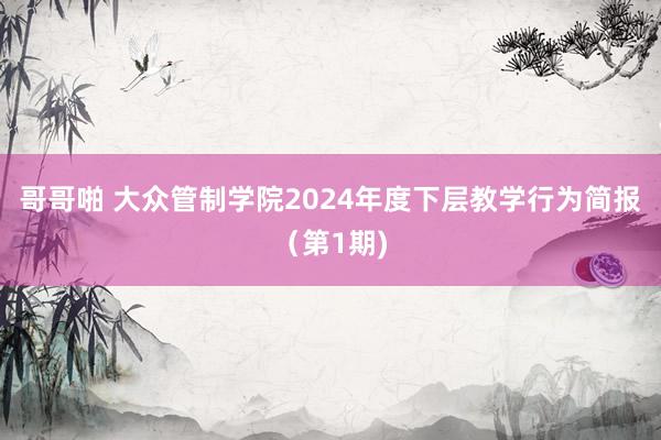 哥哥啪 大众管制学院2024年度下层教学行为简报（第1期)